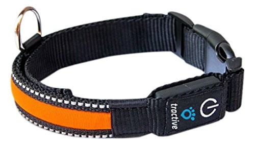 TRACTIVE LED Halsband orange