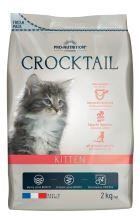 Flatazor Crocktail Kitten Neu