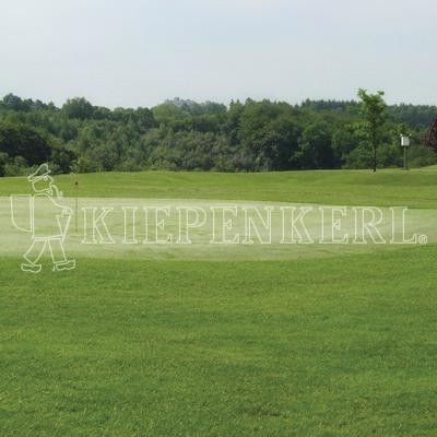 Kiepenkerl RSM 4.2.1 Golfrasen Vorgrün 10kg