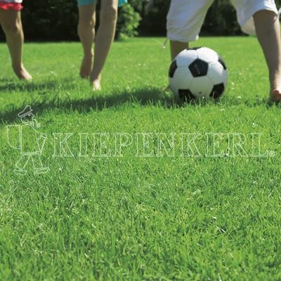 Kiepenkerl RSM 2.3 Gebrauchsrasen Spielrasen mit Poa supina 10 k